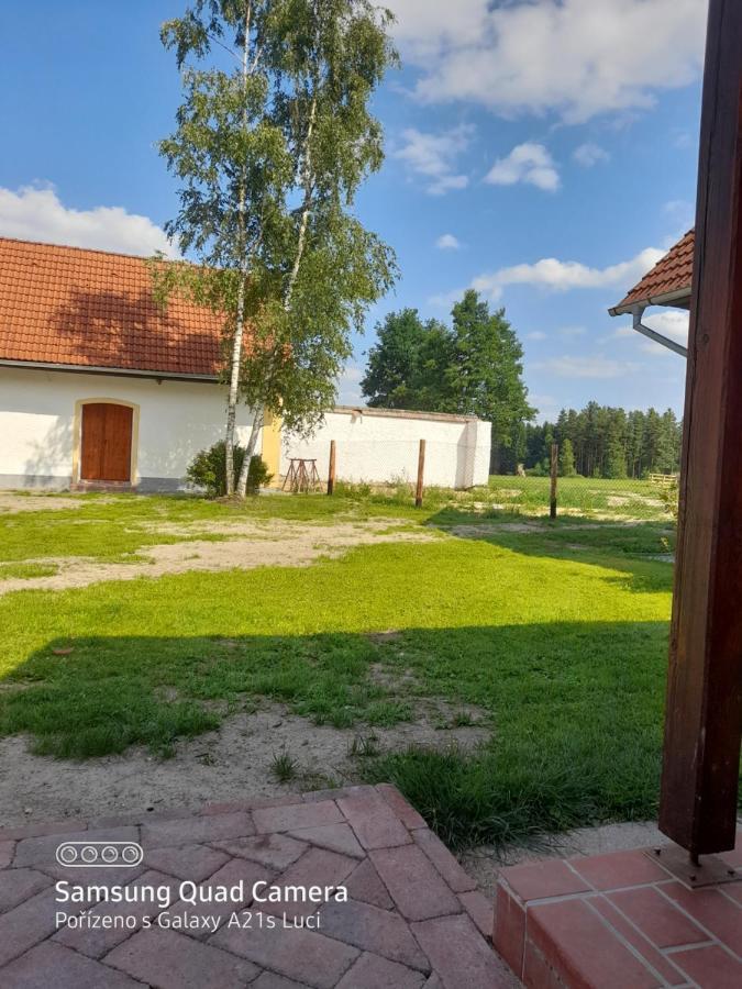 Kojan Apartman Jílovice Kültér fotó